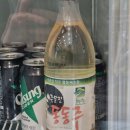 [맛집] 강릉 초당본가 주문진 막국수 (경포맛집, 초당맛집, 강릉맛집)