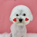 코즈몽 이미지