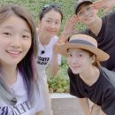 삼시세끼 이미지