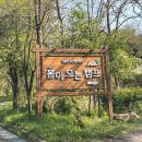 [캠핑장 추천]경기도 양주 봄이오는캠프 후기 ｜냉장고+드라이기 완비