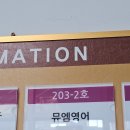 고려대 서구 태권도(2관) | 영어학원 고민 끝에 다녀온 곳, 뮤엠영어 도안수목토점 솔직 후기 (초등 영어 학원 알아보시는 분들 필독)
