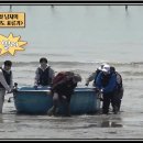 삼밭섬 티스토리