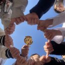 라이온스태권도 이미지