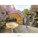 [도로]수원초등학교 앞 이미지