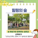 오카리나 & 우쿨렐레 초보 교실 | 🌿 연세하임산부인과 숲태교 교실 후기 – 태조산에서 힐링 가득한 봄날 💛