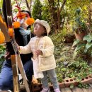 숲이있는 어린이집 이미지