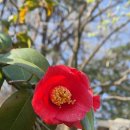 거산 이가네더덕밥 이미지