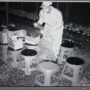 이매난원 Daum카페