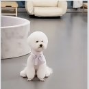리츠펫 이시아폴리스점 이미지
