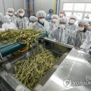 양구농산물가공지원센터(해안점)