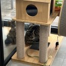 문덕동물병원 이미지