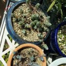 광호농장 이미지