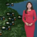 내일 대체공휴일에도 한낮 더위…제주·남부부터 비 이미지