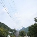 의사소몽 채기중 순국기념비 이미지