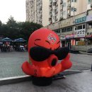 노원 야장 가능한 쭈꾸미 맛집 신쭈 내돈내산 후기