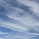 수근목장 이미지