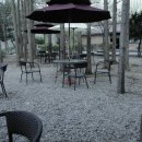 남이섬여행펜션 이미지