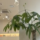 간단헤어커트(야간) | 서면 미용실 추천 24시간영업하는 하이브헤어 서면플레이스 엔디렉터 여자펌 후기