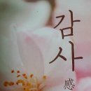 문화영 이미지