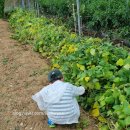 해선농장 이미지