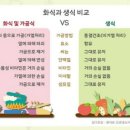 면역력을 높이는 음식! 파이토케미컬(피토케미컬)이 풍부한 식품 이롬 생식 선식 추천