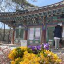 아미타사 네이버블로그
