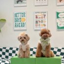 울산 이승진동물병원 이미지