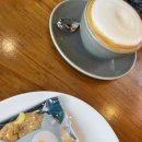 노아네프 이미지