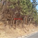 남해-211 이미지