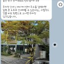 아르뷰