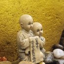 너구리산 이미지
