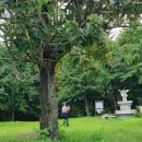 대전둘레산길(7구간) 이미지