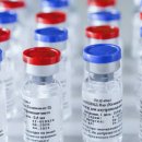 보란파마 이미지