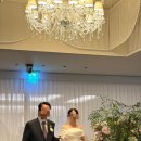 디자인호텔뜰앤 | PJ호텔 뮤즈홀 26년 1월 자세한 본식 후기