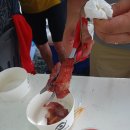 발산카라반