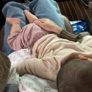 포유콘도 | 육아일기 | 11개월 - 제주에서 육아하기🍊 제주 한달살이 기록