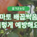 배꼽하우스 이미지