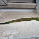 탄중로 518 이미지