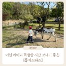 하나농장 | 이천 가족나들이 추천 | 당나귀와 교감하는 당나귀 체험농장 후기 : 동키스타즈