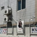 칠리앤본