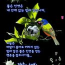 사랑나루 Daum카페