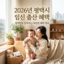 평택시 교통약자이동지원센터 | 2026년 평택시 임신 출산 혜택 총정리 : 지원금 신청 사이트