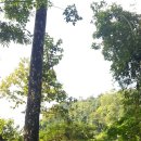 블루라군 이미지