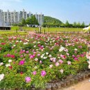 낙동가람 이미지