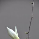 팽팽당구장 이미지