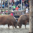 봉동교 옆 이미지