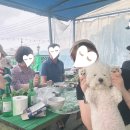 로맨틱큐브 B 이미지