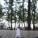 바다와 솔향기 이미지