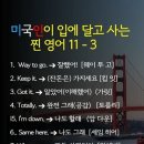 찐영어