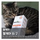 J캣 | 한포씩 챙겨주기 좋은 고양이와 강아지관절영양제 웰케어 '웰케어 B/J'